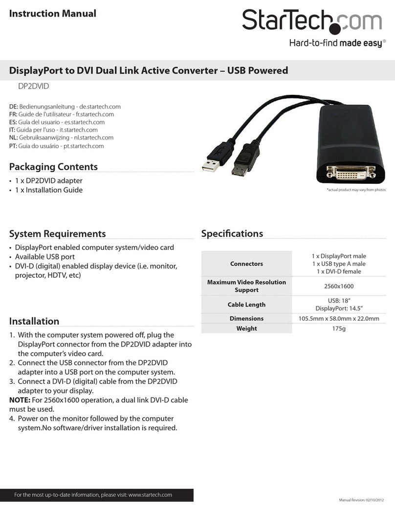 StarTech.com DP2DVID User manual