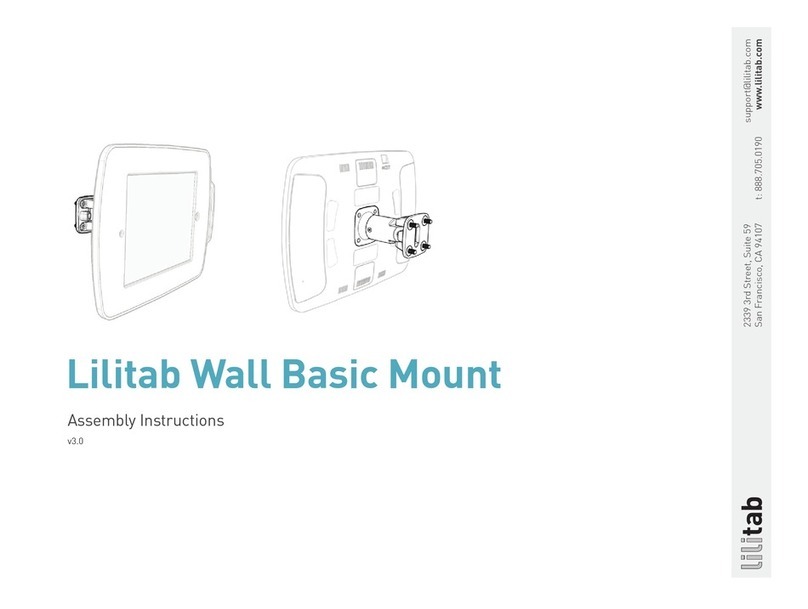 lilitab Wall Basic User manual