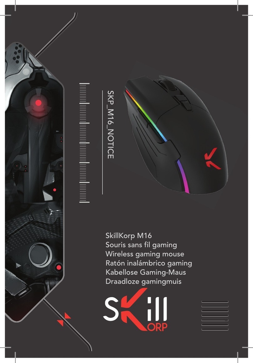 SkillKorp M16 User manual