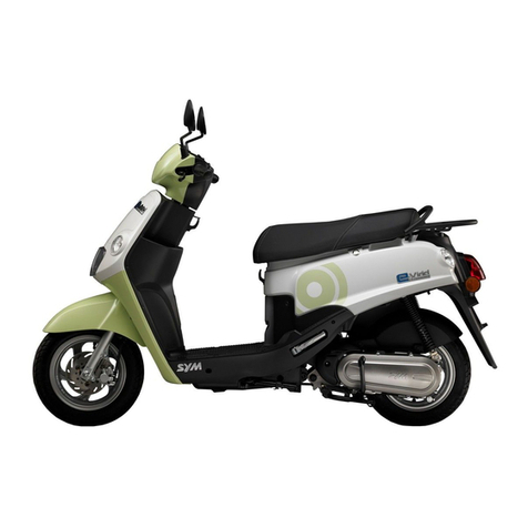 Sym e-Virid User manual