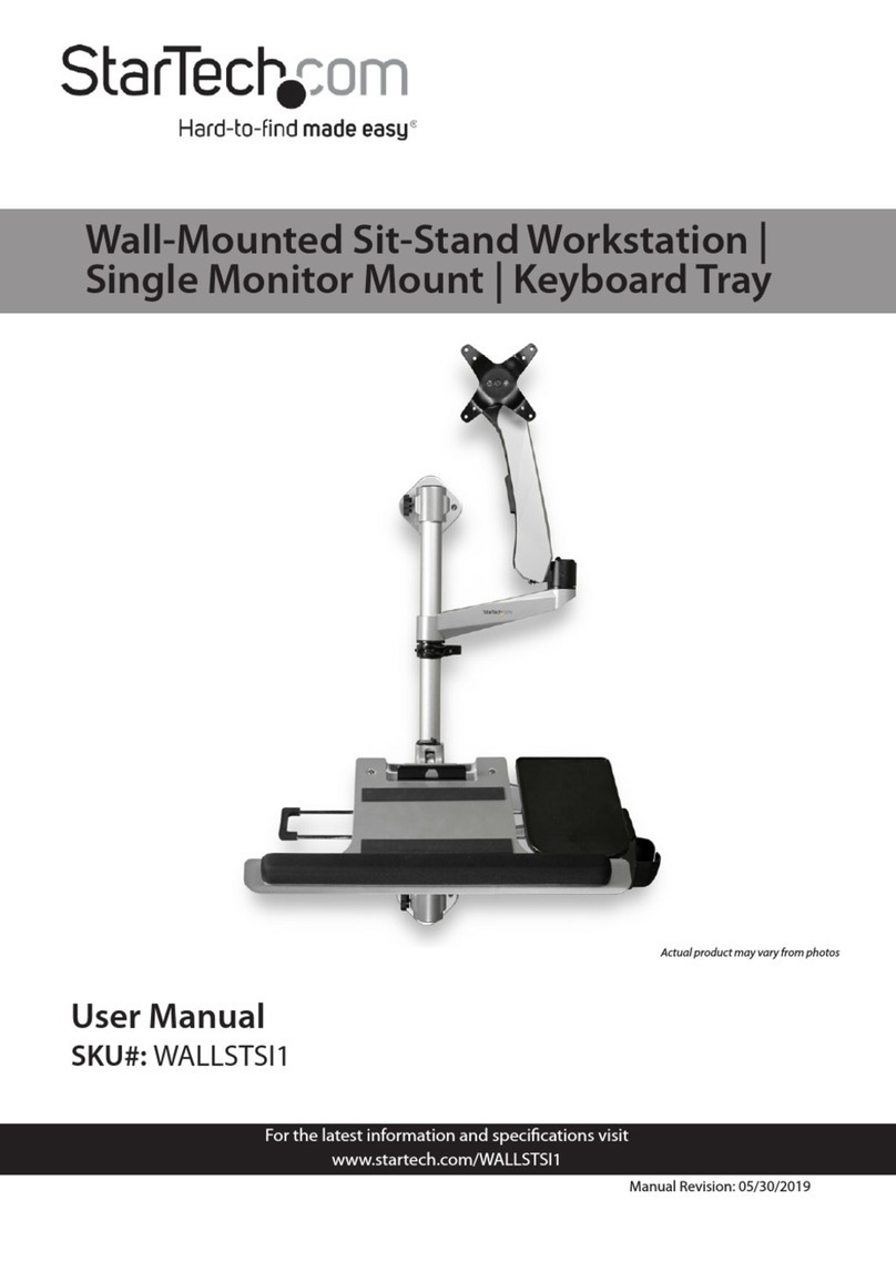 StarTech.com WALLSTSI1 User manual