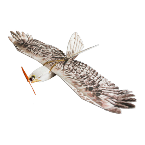 Dancing Wings DW MINI EAGLE User manual Dancing Wings DW MINI EAGLE User manual