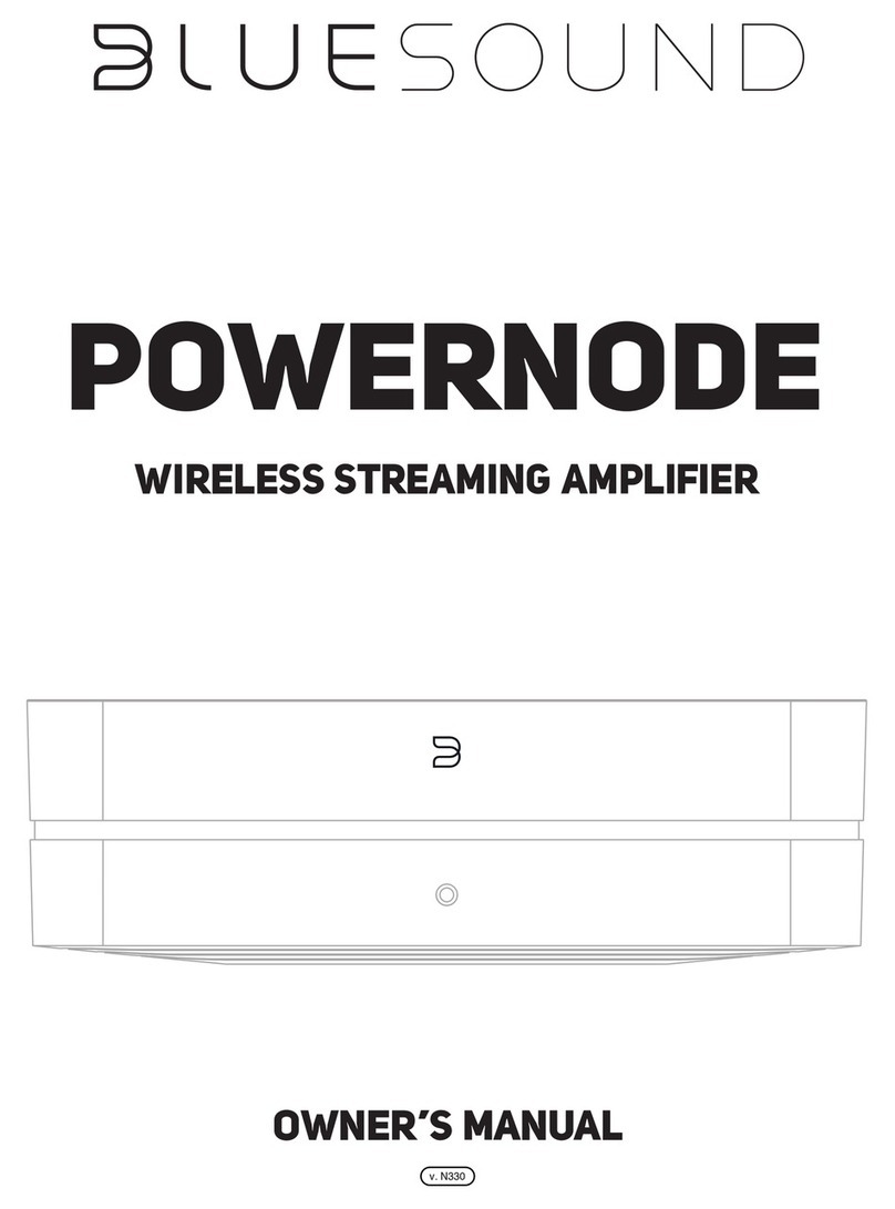 Bluesound Powernode User manual