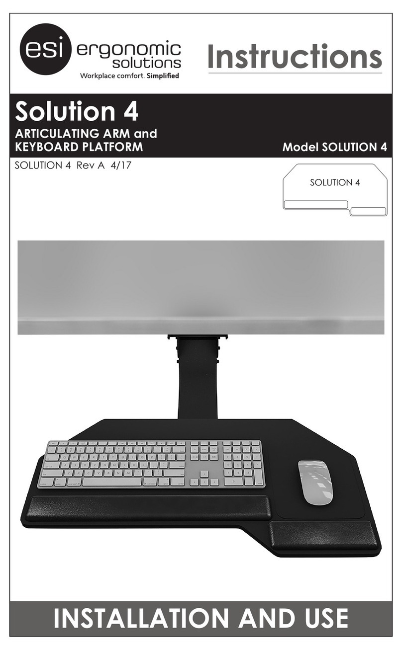 ESI SOLUTION 4 User manual