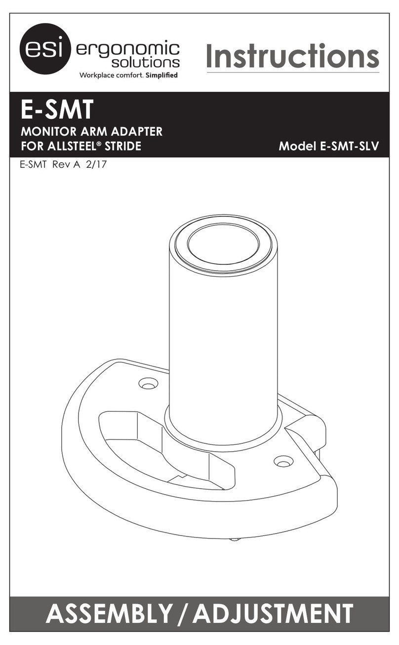 ESI E-SMT User manual