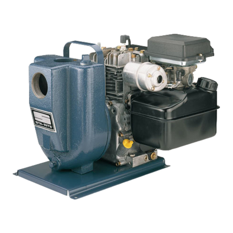 Pentair STA-RITE ED Series User manual