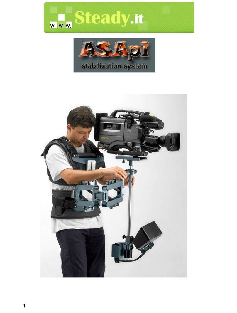Steady.it ASApi User manual