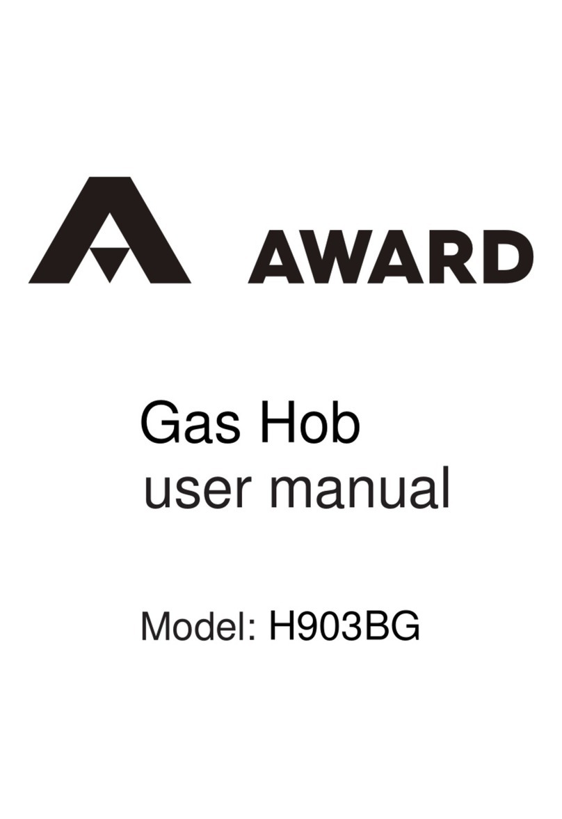 Award H903BG user manual