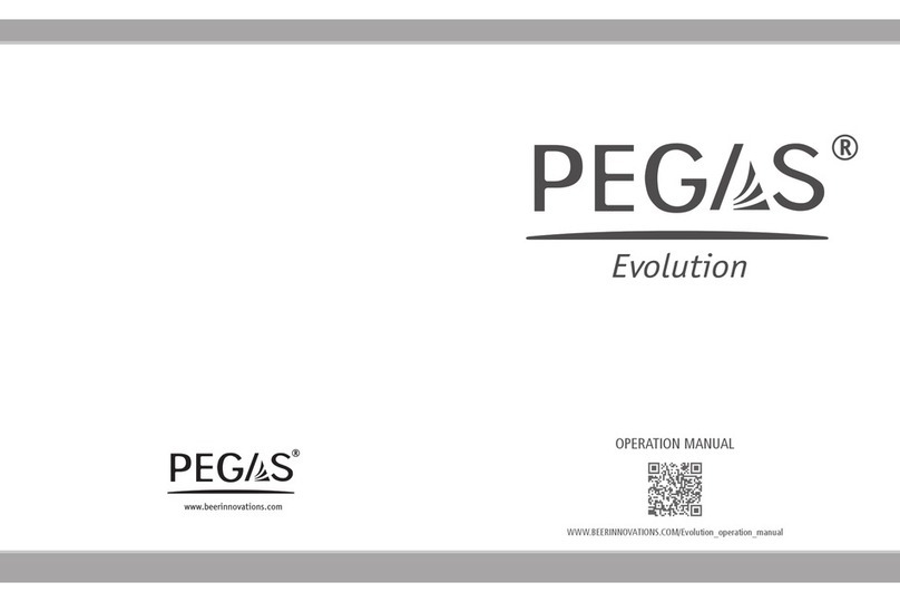 PEGAS Evolution User manual PEGAS Evolution User manual