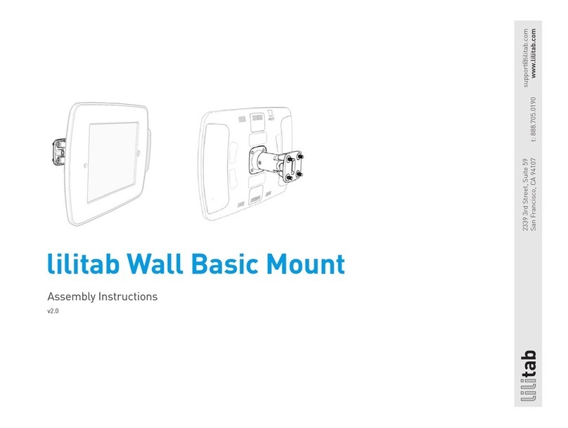 lilitab Wall Basic Mount User manual