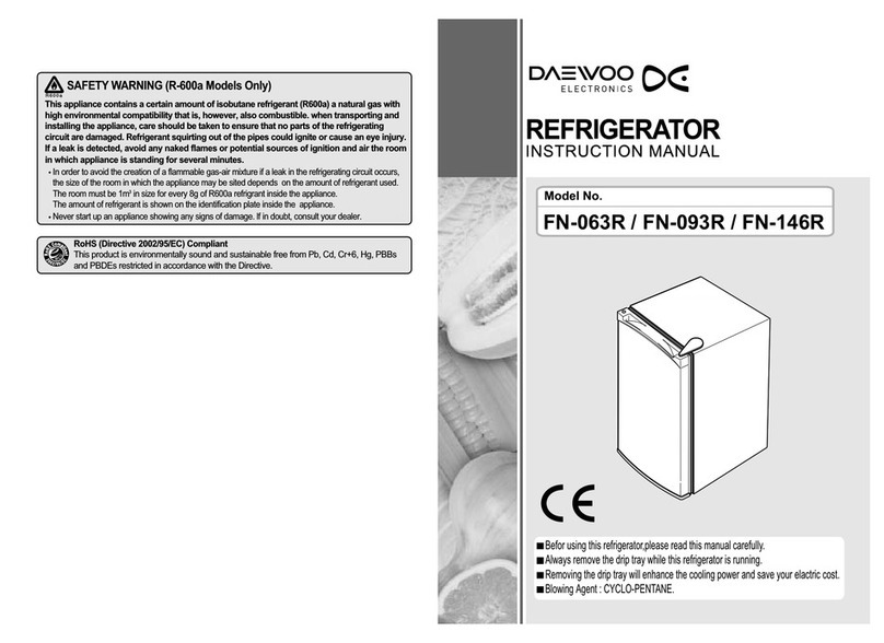 Daewoo FN-063R User manual