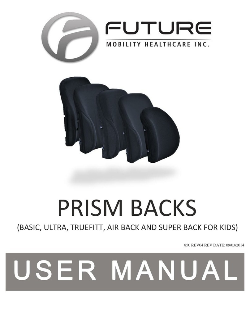 Future Mobility Prism BASIC User manual
