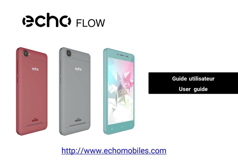 Echo FLOW User manual