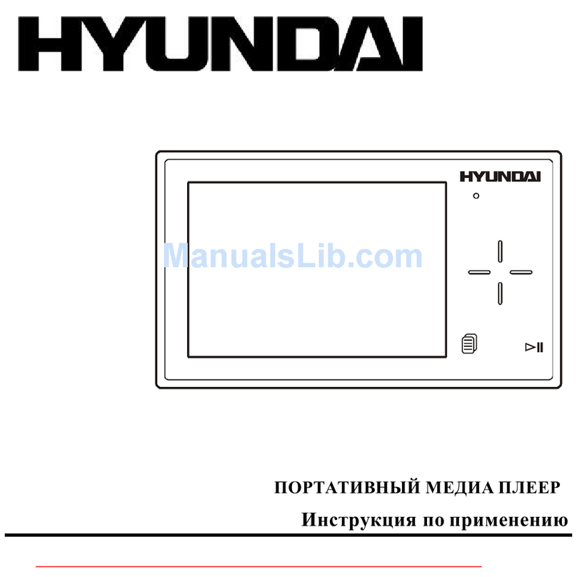 Hyundai H-F2010 User manual