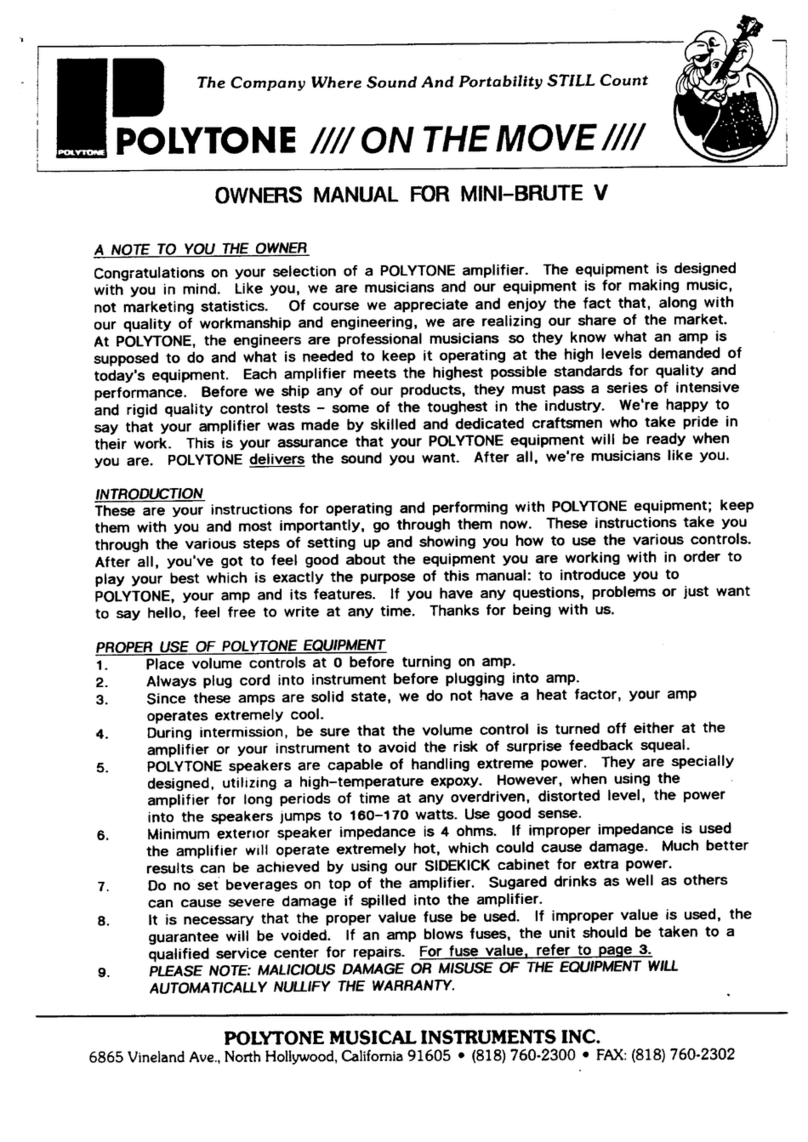 Polytone MINI-BRUTE V User manual