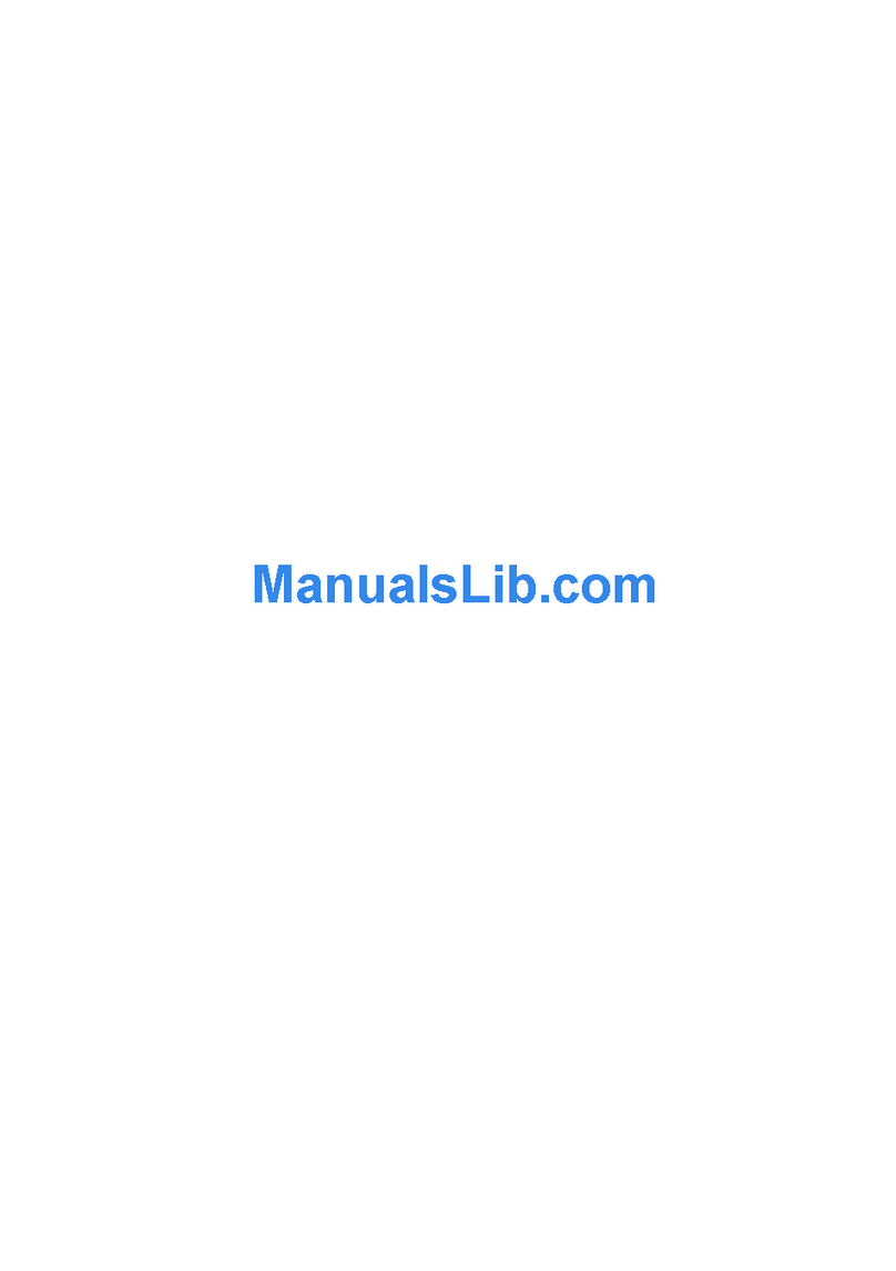 Abee V31 User manual