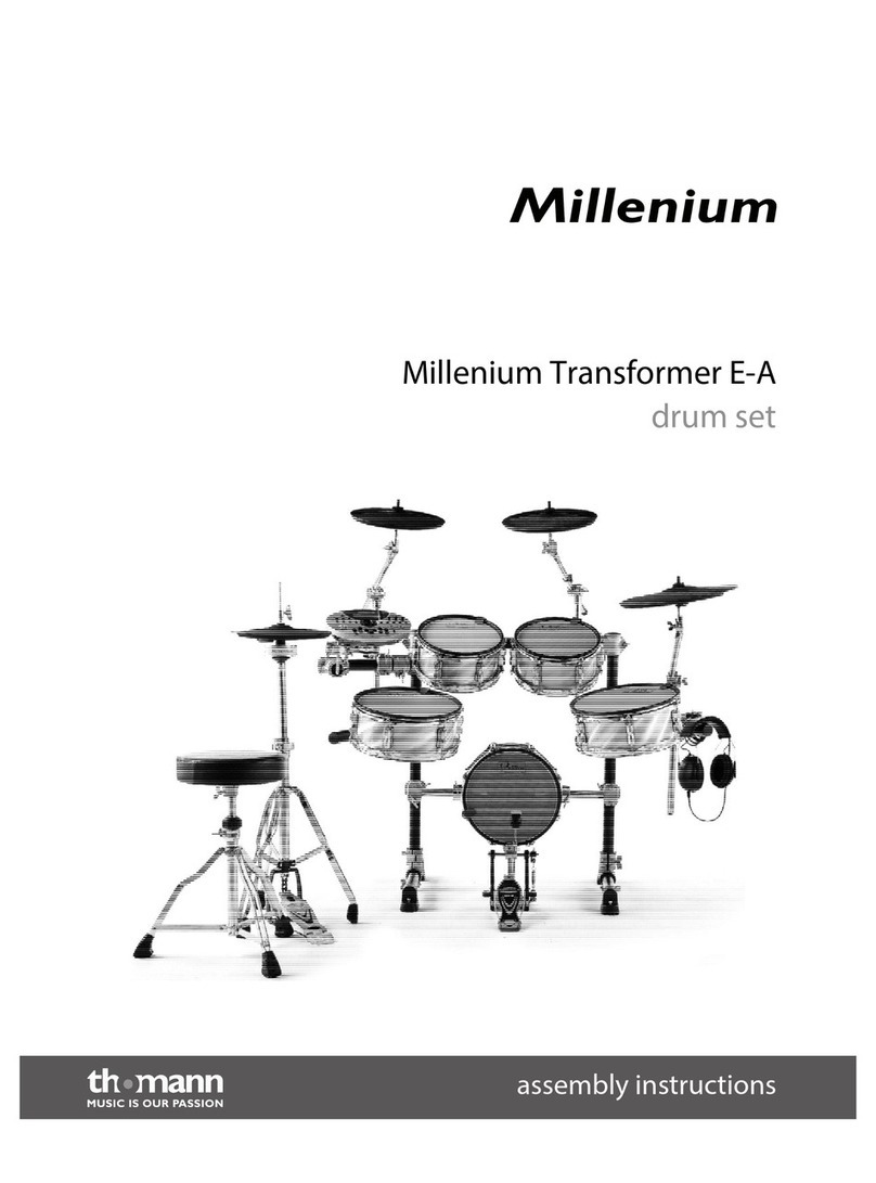 thomann Millenium Transformer E-A User manual