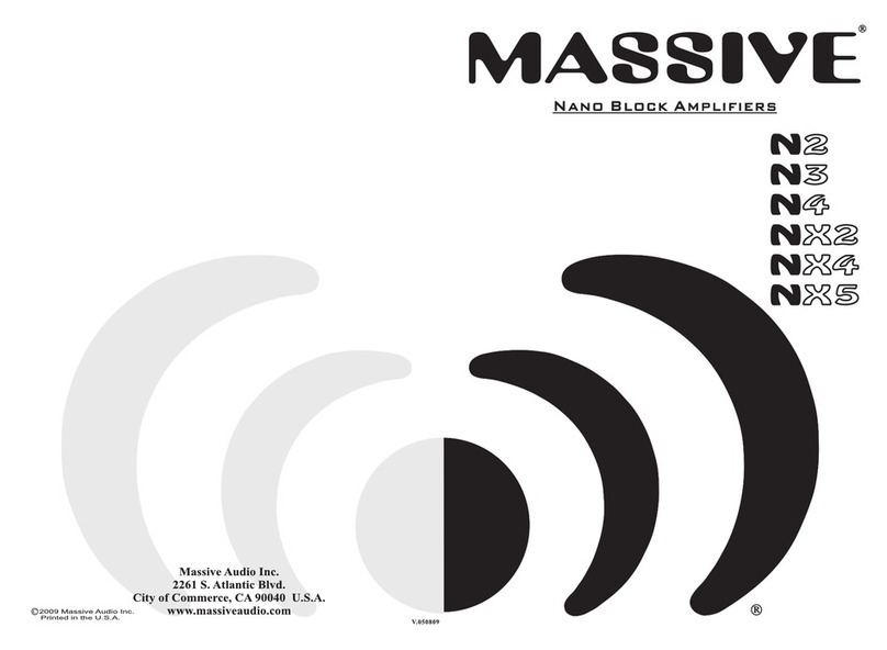 Massive Audio N2 User manual