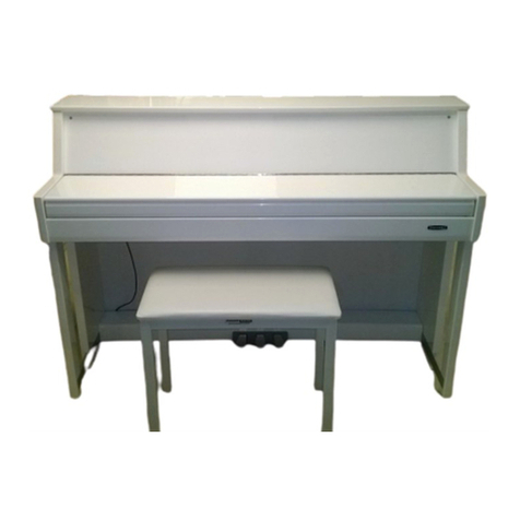Medeli DP70EU User manual