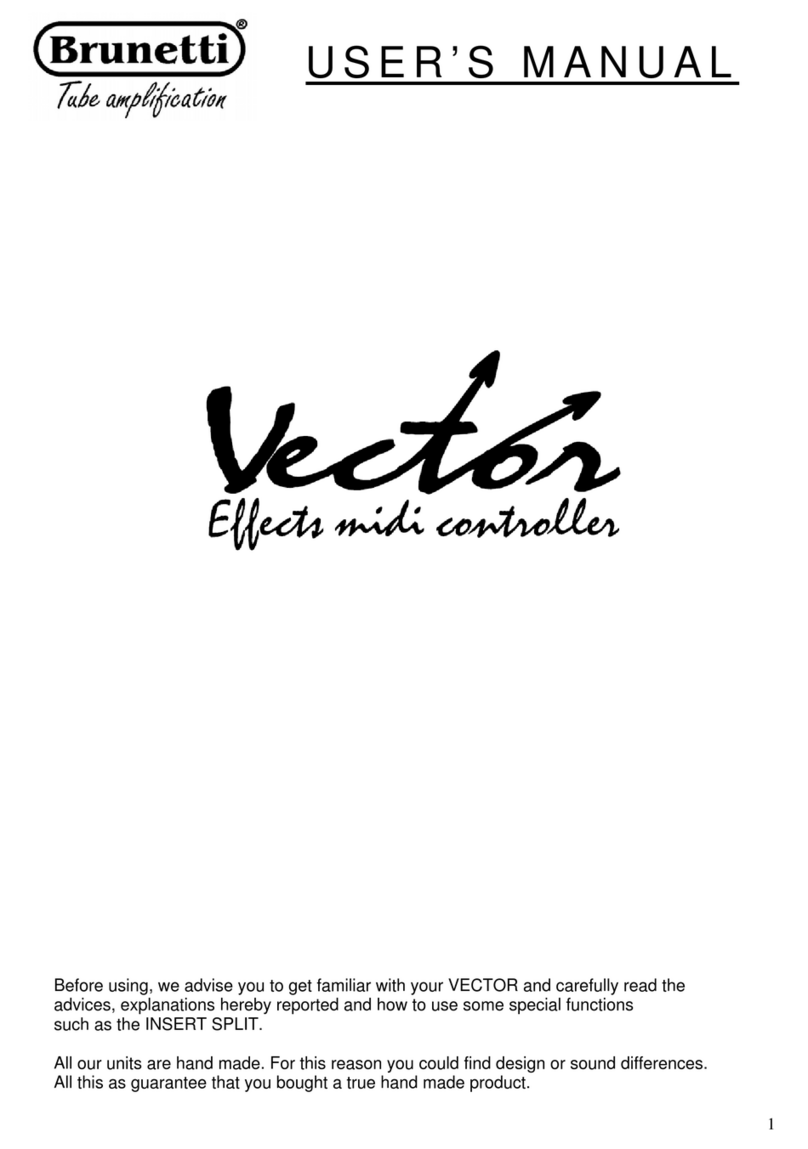 Brunetti Vector User manual
