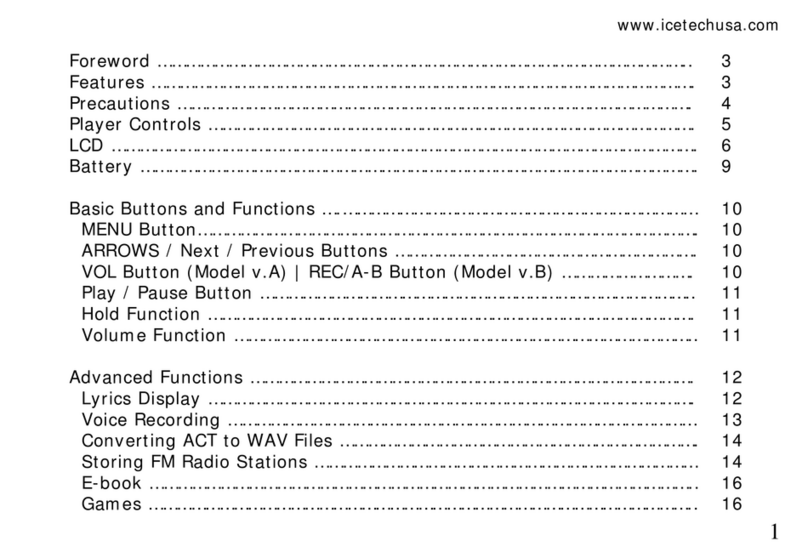 Ice-Tech MP4 player User manual