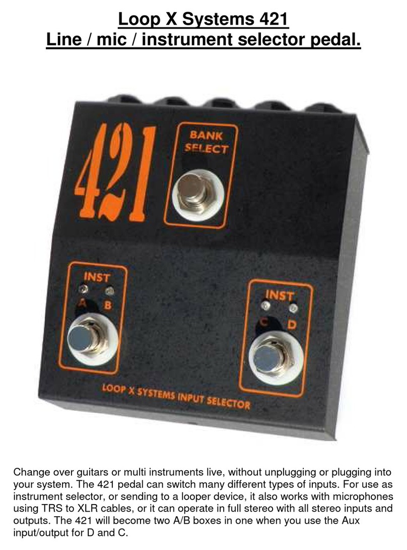 DEELEEBOB Loop X Systems 421 User manual