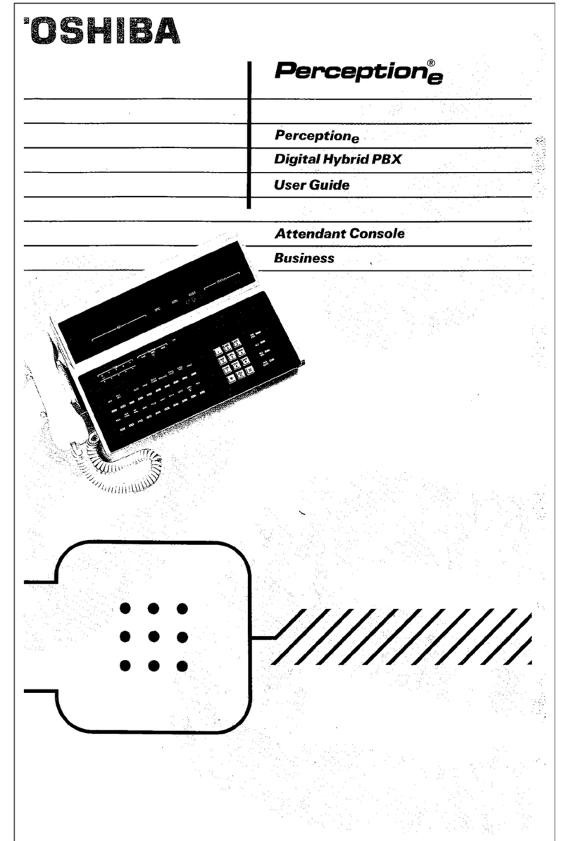 Toshiba PERCEPTION e User manual