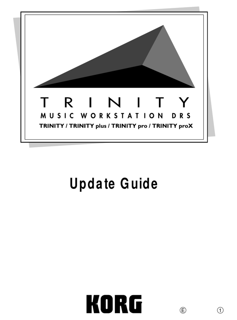Korg Trinity plus General instructions