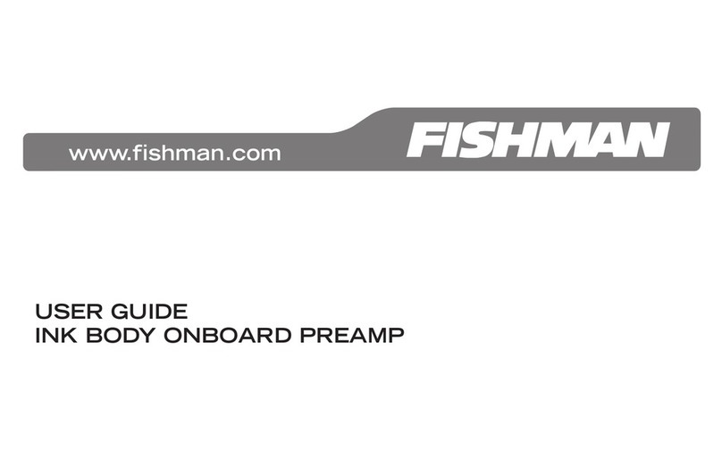 Fishman INK User manual
