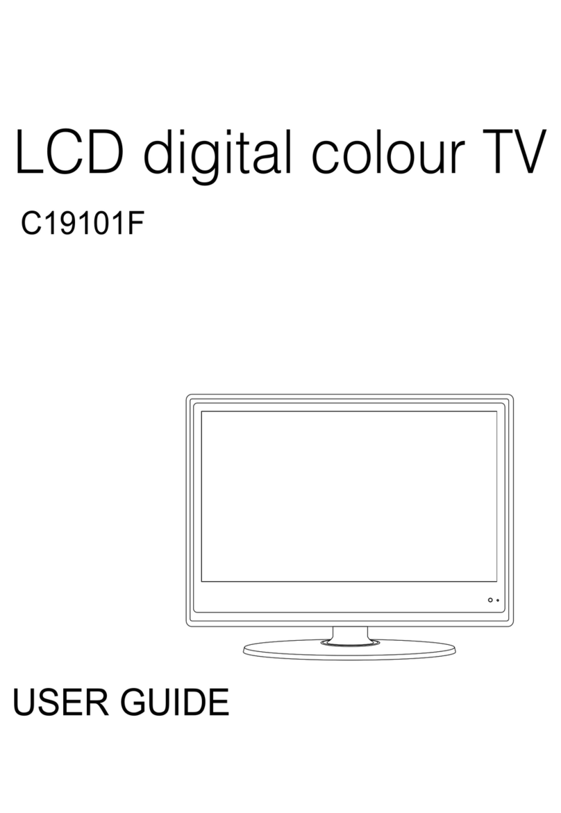 Soundwave C19101F User manual