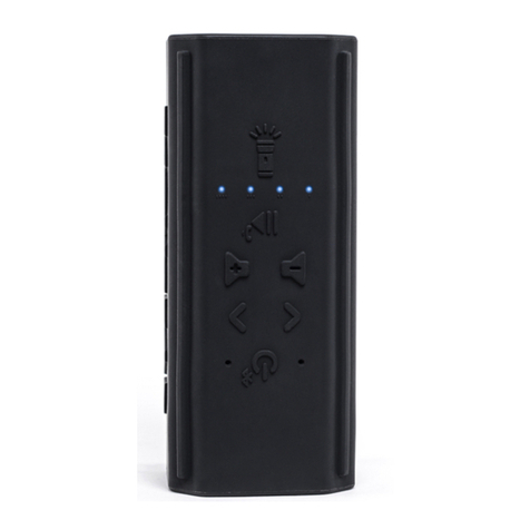 EcoxGear EcoPebble Powerbank GDI-EXPPB100 User manual