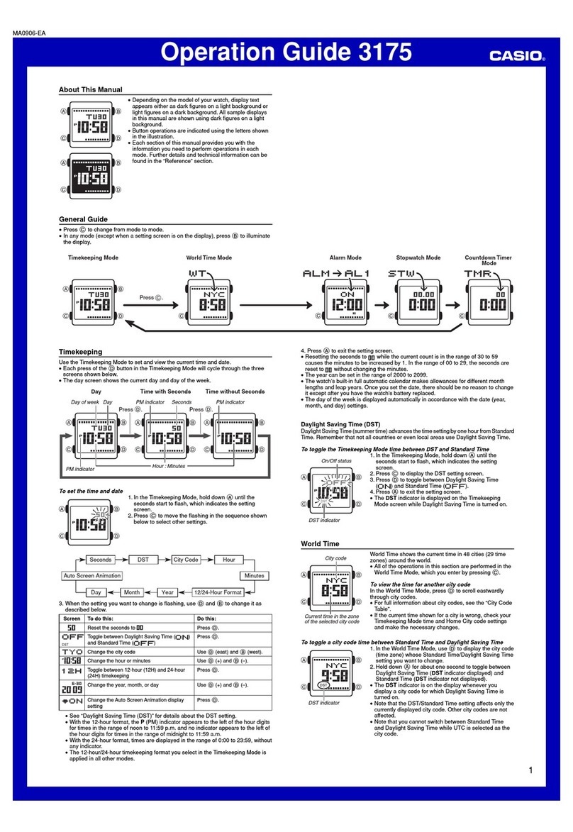 Casio 3175 User manual