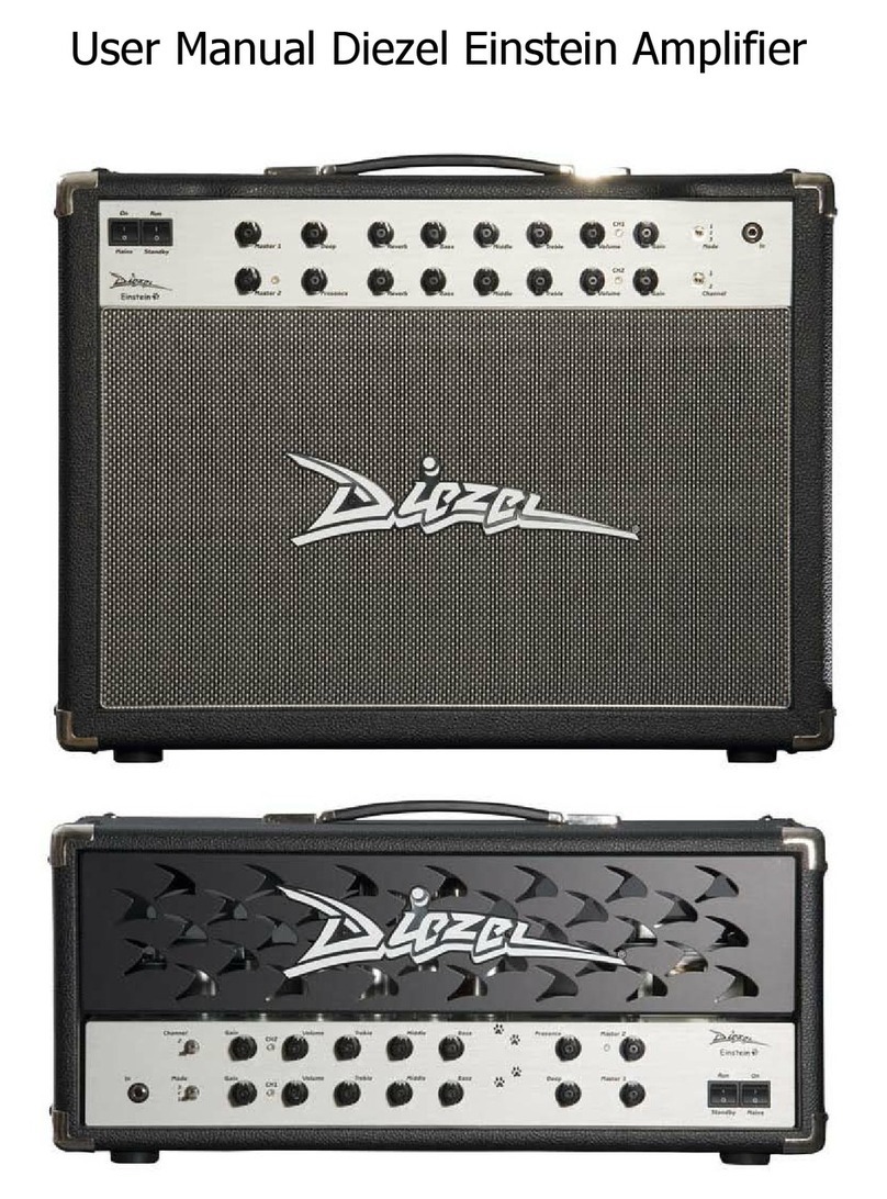 Diezel Einstein User manual