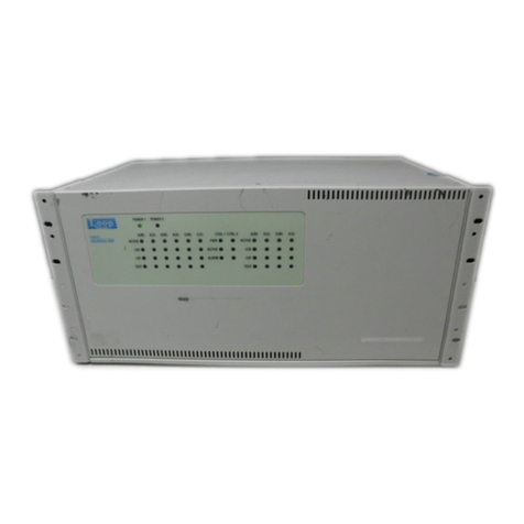 Loop Telecom Loop-V 4100 User manual