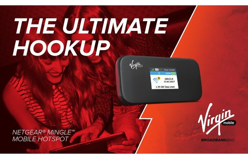 NETGEAR MINGLE User manual