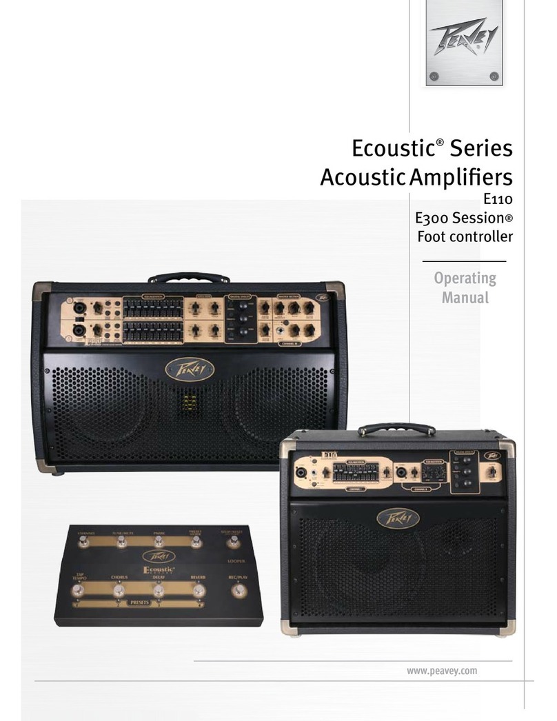 Peavey E110 User manual