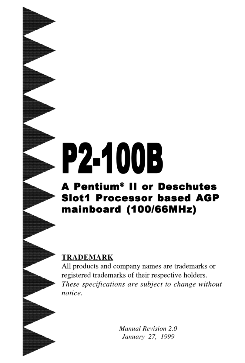 EPOX P2-100B User manual