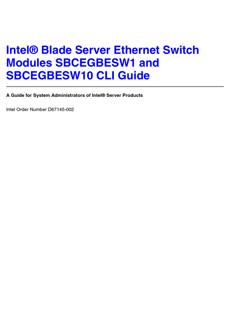 Intel SBCEGBESW10 CLI User manual