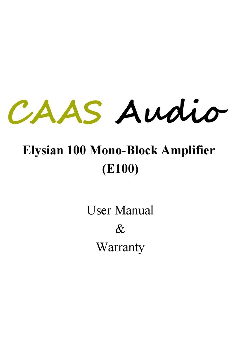CAAS Audio E100 User manual