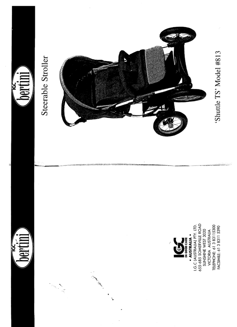 Bertini 813 User manual Bertini 813 User manual