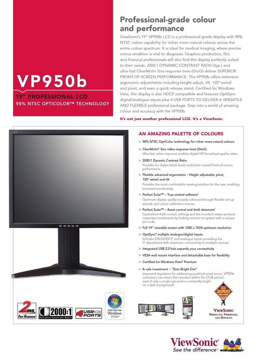 ViewSonic VP950B - 19" LCD Monitor User manual