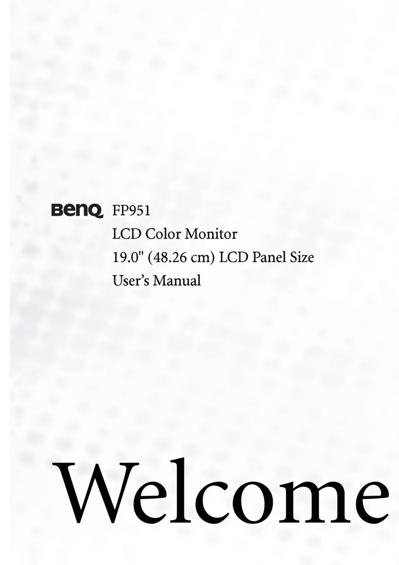 BenQ FP951 User manual