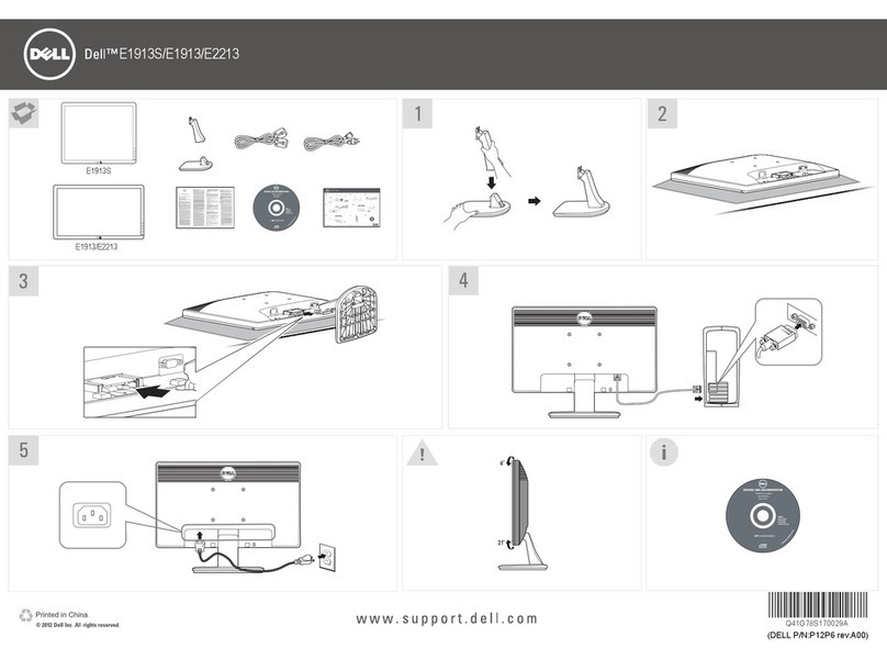 Dell E1913 User manual