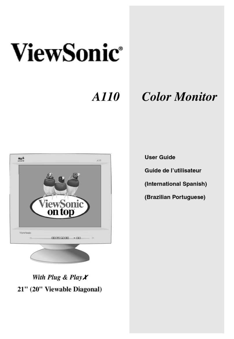 ViewSonic A110 User manual