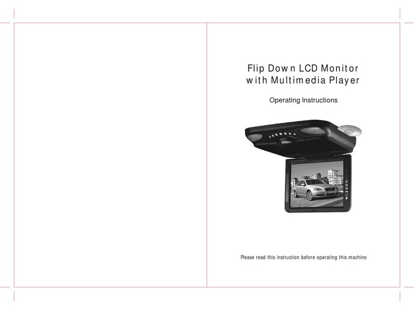 Eonon E1110 User manual