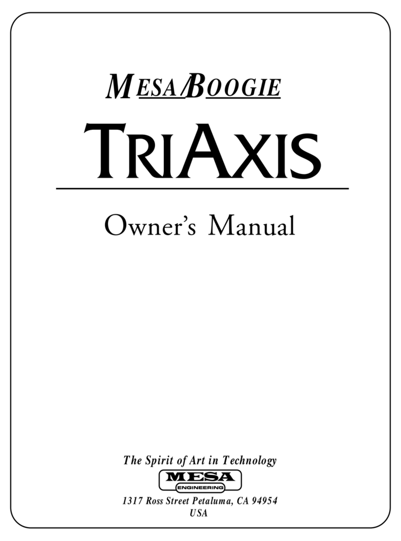 Mesa Amp User manual