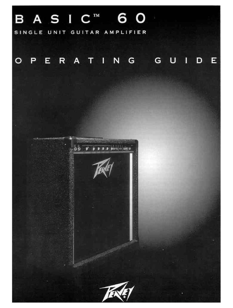 Peavey Basic 60 User manual