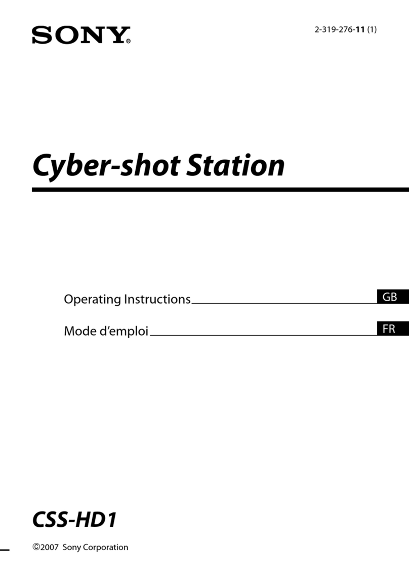 Sony CSS-HD1 Manual de instrucciones / Manual de... User manual