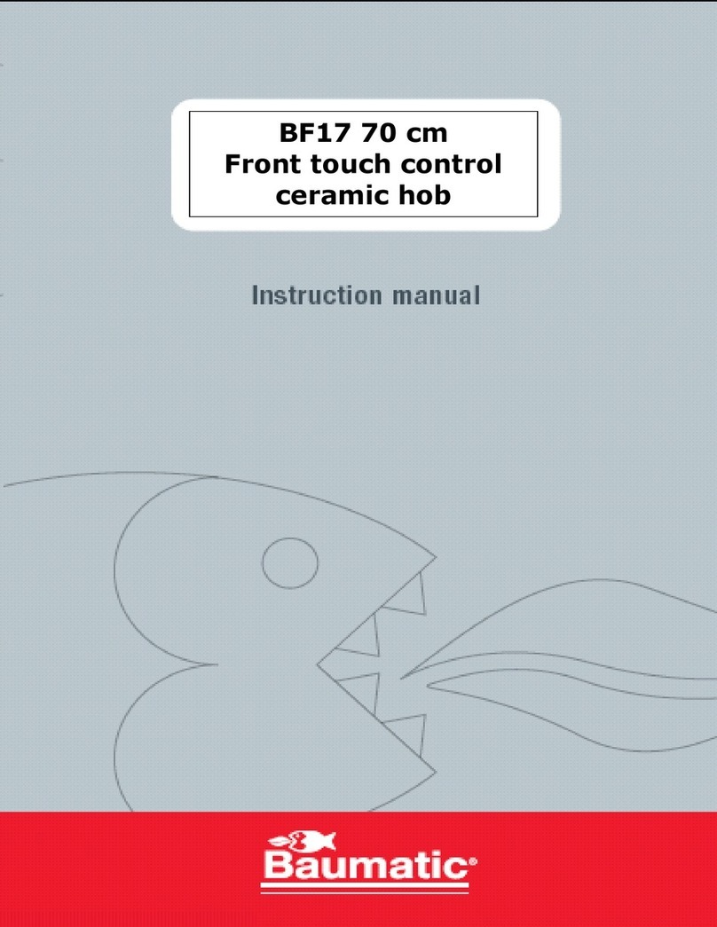 Baumatic BF17 User manual