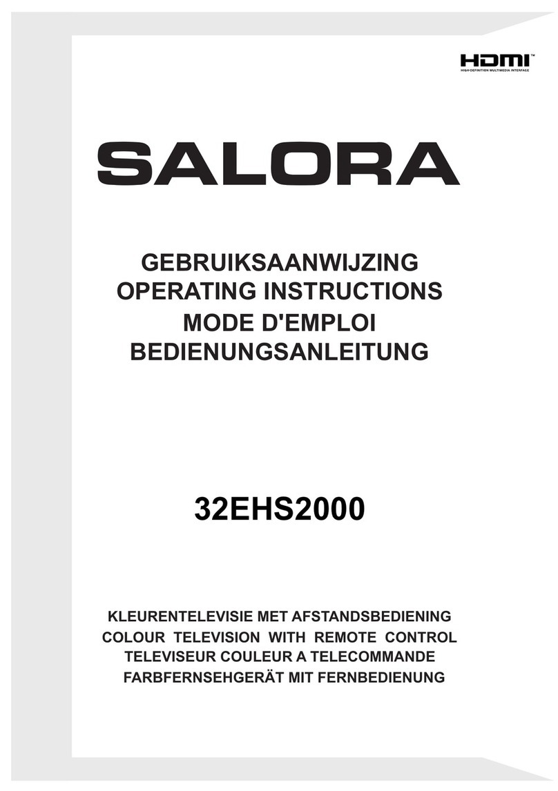 Salora 32EHS2000 User manual